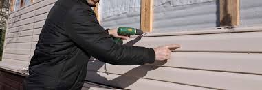 Best Insulated Siding Installation  in Dana Point, CA